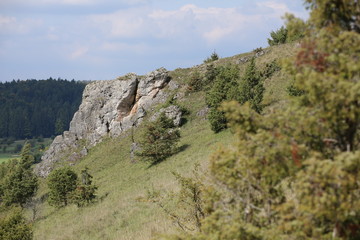 Slope with rock cliffs at Muehlberg near Unterwiesenacker, Upper Palatinate, Germany