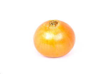 fresh organic onion