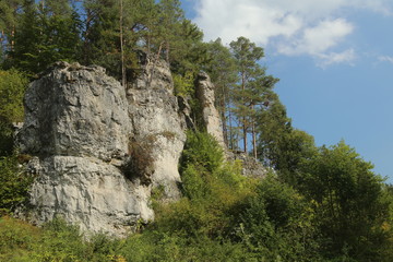 Fototapeta na wymiar Rock formation near Rieden, Upper Palatinate, Germany