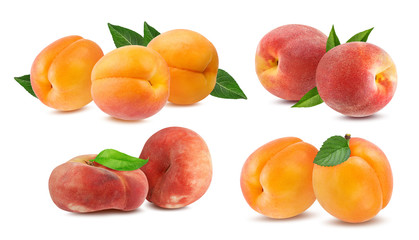 Three chinese flat donut peaches with leaf and apricots isolated on white with clipping path set