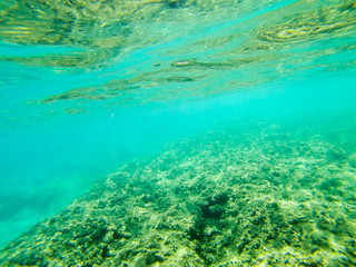 Fototapeta na wymiar Bottom of clear blueSicilian sea