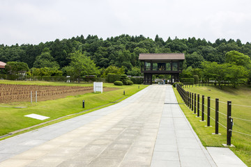 The grounds and gardens surrounding the Great Buddha of Ushiku, Japan