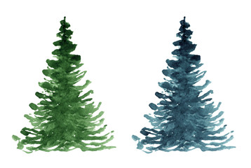 Fir tree. Watercolor hand drawn