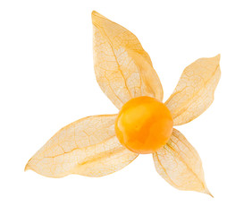 physalis