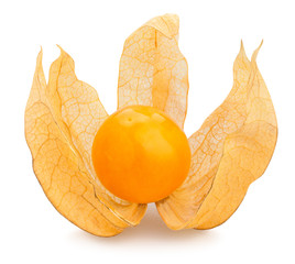 physalis