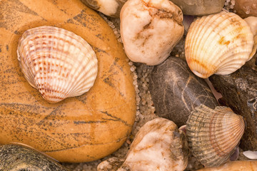 Summer sea theme with shells, wet colored stones and sand