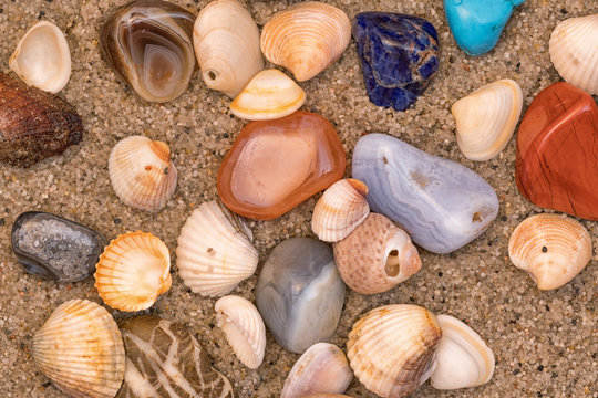 Summer sea theme with shells, wet colored stones and sand