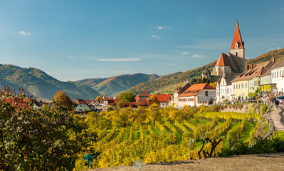 Weissenkirchen in der Wachau Austria vineyards in autumn - obrazy, fototapety, plakaty