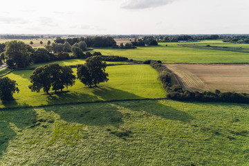 Luftaufnahme von Feldern im August