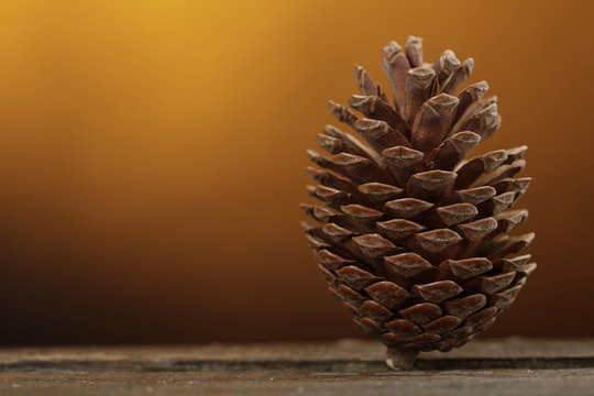 Pigna intera sopra piano in legno su sfondo arancio