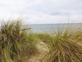 Strand in Nienhagen Ostsee 