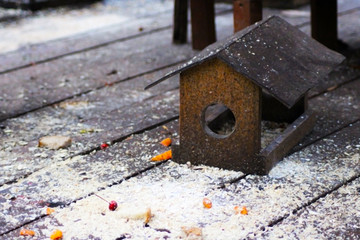 Little Birdhouse over wooden table outdoors in the garden