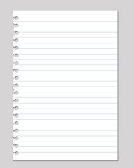 vector realistic illustrations of a torn sheet of paper from a workbook with shadow, isolated