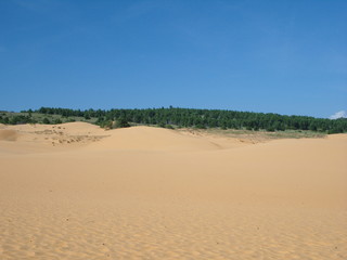 Dunas