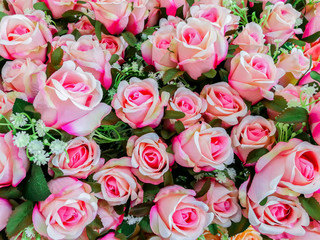 Rose - Flower, Flower, Bouquet, Flowerbed, Ornamental Garden