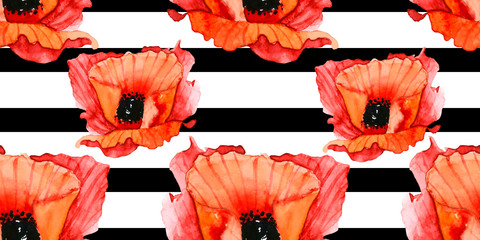  Poppy Flower Watercolor Pattern