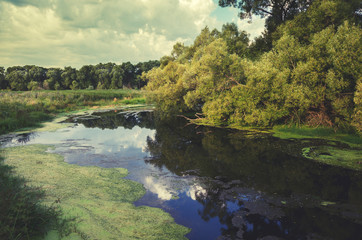 Summer scene.River Plava in Tula region,Russia. 