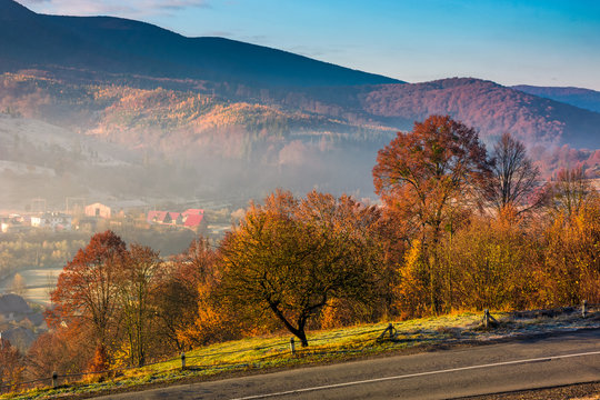 gorgeous foggy morning in autumn countryside. lovely rural scenery in mountainous area