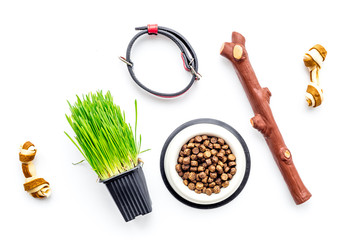 Toys for dog stick and ribbon bone near collar, dry food in bowl and grass in pot on white background top view