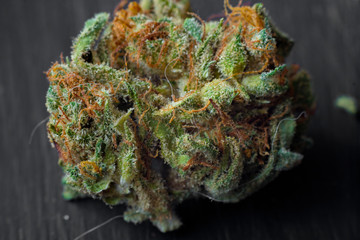 Macro photos of marijuana harvest cones with leaves covered with trichomes. The cannabis plant clse...