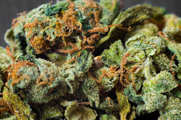 Macro photos of marijuana harvest cones with leaves covered with trichomes. The cannabis plant clse...
