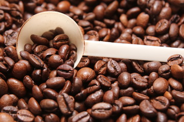 Coffee beans with a white measuring spoon