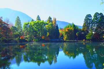金鱗湖の紅葉