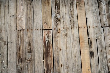 Brown wood texture. Abstract background, empty template