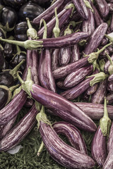 pile of eggplants / aubergines