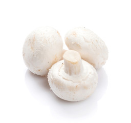 Champignon mushrooms