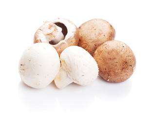 Champignon mushrooms