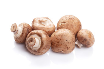 Champignon mushrooms