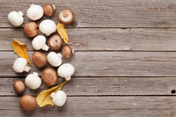 Champignon mushrooms