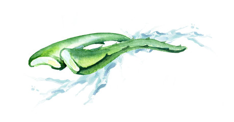 Aloe vera extract splash. Watercolor hand drawn composition
