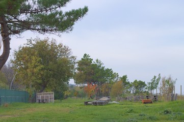 Wood tables at the park (Pesaro, Italy)