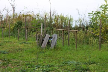 Wood tables at the park (Pesaro, Italy)