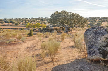 landscape of salamanca, countryside, Castilla y Le&oacute;n, Spain