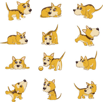 funny dog, puppy, pet, animation, vector