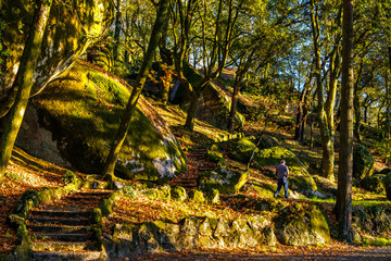 Trilhos no monte da penha