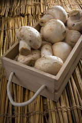 Fresh white mushrooms, Champignons de Paris.