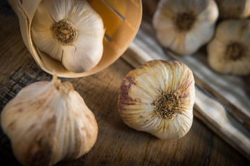 Garlic Cloves and Garlic Bulb on vintage wood background