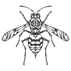 Icon of wasp silhouette on the white background.