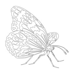 Icon of butterfly silhouette on the white background.