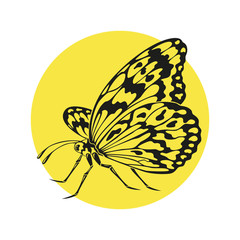 Icon of butterfly silhouette on the yellow background.
