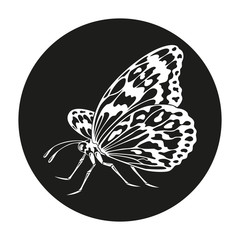 Fototapeta na wymiar Icon of butterfly silhouette on the black background.