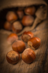 Hazelnuts and jute bag on rustic wooden background