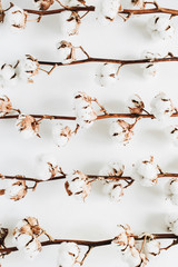 Raw cotton branches on white background. Flat lay, top view.