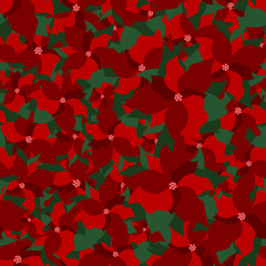 Poinsettia. Christmas seamless pattern with christmas red poinsettia.