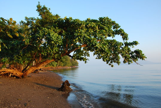 Plage de Flor&egrave;s, Indon&eacute;sie