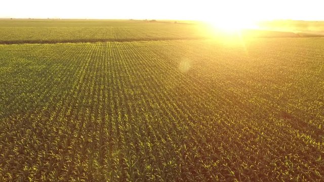 Atardecer de campo a&eacute;reo